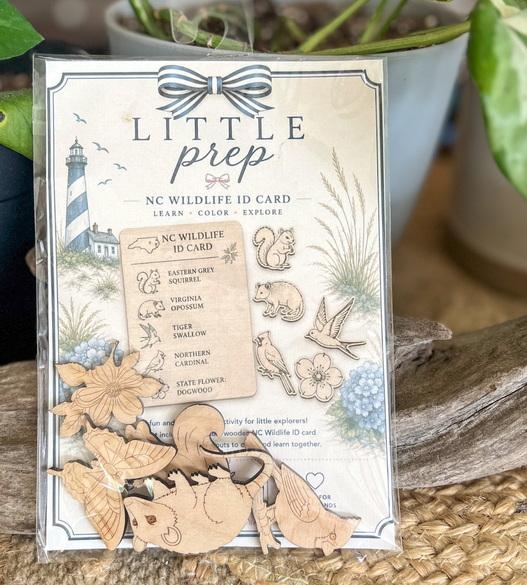 Little Prep North Carolina DIY Wood Coloring Kit
