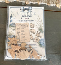 Little Prep North Carolina DIY Wood Coloring Kit